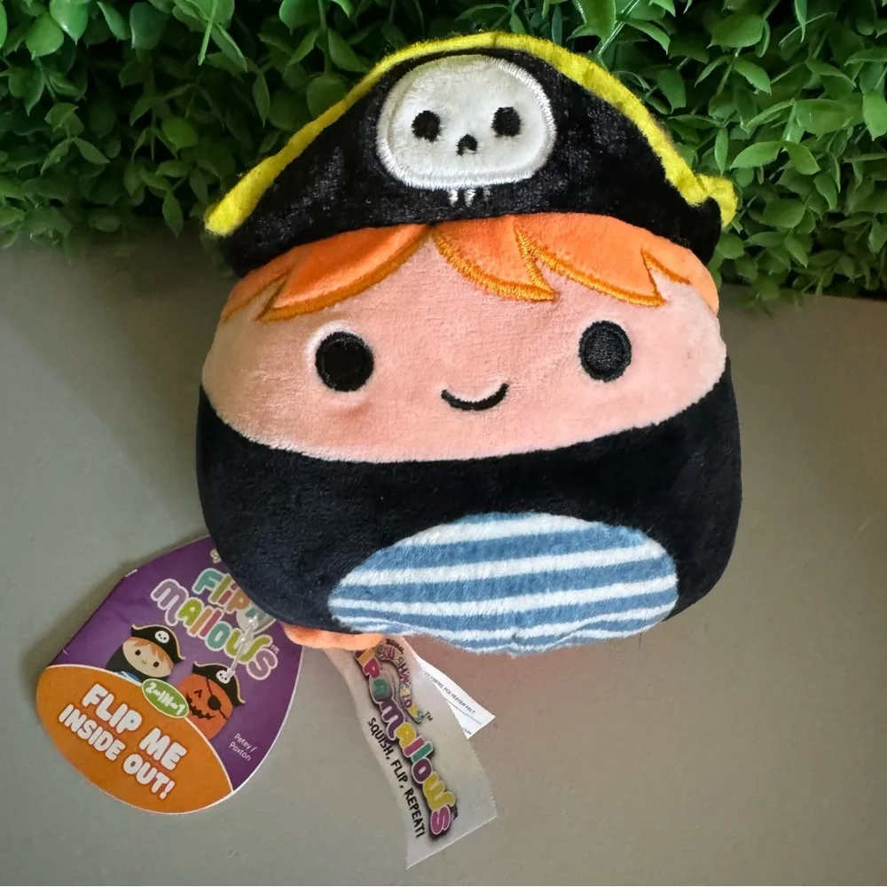 Petey the Pirate & Paxton the Pumpkin 5